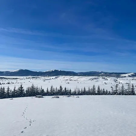 Domek alpejski Container House Kod Cupe