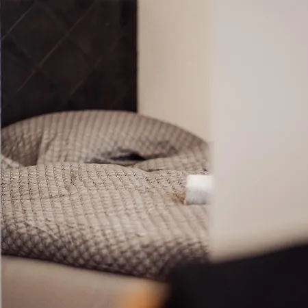 Alpesi faház Container House Kod Cupe *