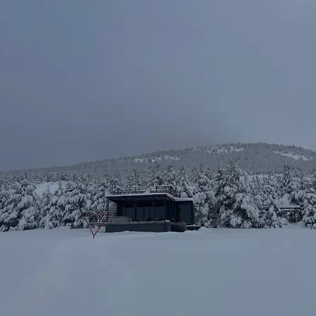 Container House Kod Cupe